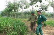 Cty CP ĐT&PT Cao su Nghệ An:Dự kiến kết thúc dự án vào năm 2017